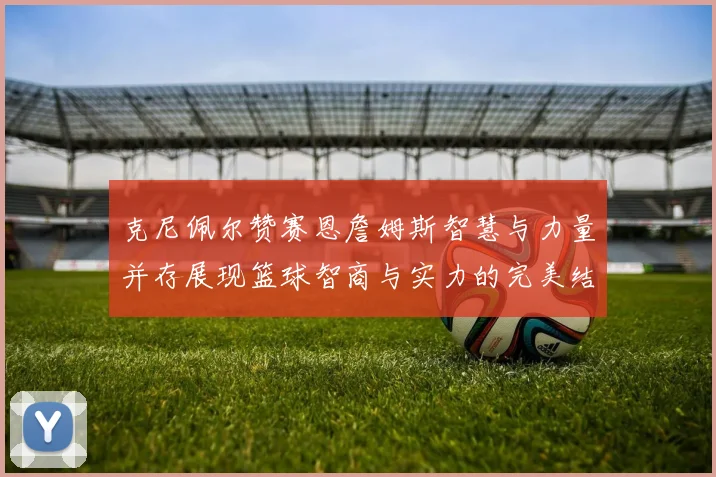 克尼佩尔赞赛恩詹姆斯智慧与力量并存展现篮球智商与实力的完美结合