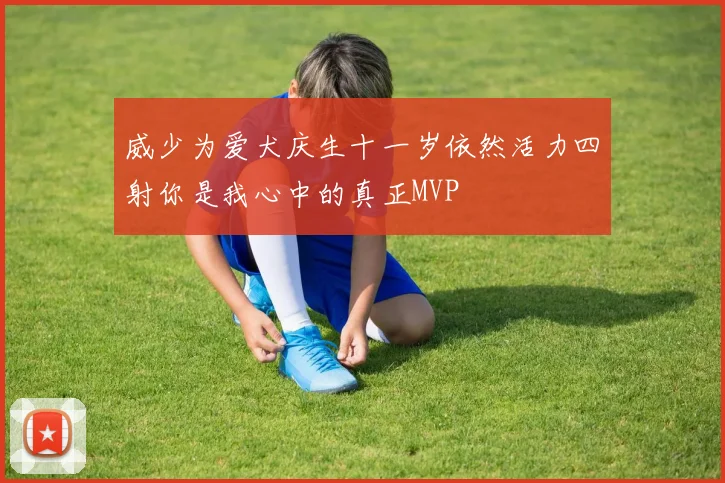 威少为爱犬庆生十一岁依然活力四射你是我心中的真正MVP