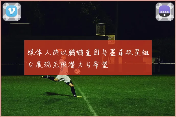 媒体人热议鹈鹕奎因与墨菲双星组合展现无限潜力与希望